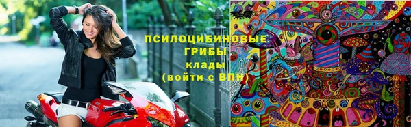 дмт Магадан